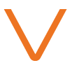 v icon